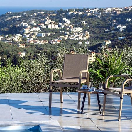 Villa Konstantinos Hilltop Vineyard Escape 阿尔米里达 外观 照片